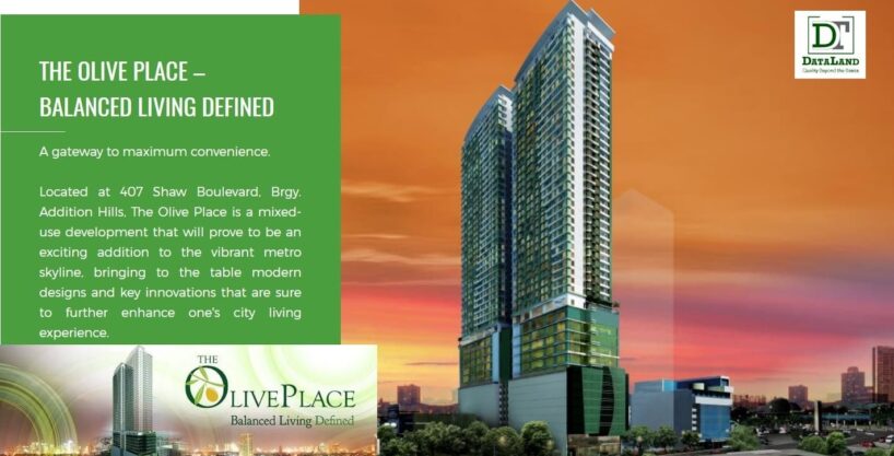 The Olive Place Banner Image