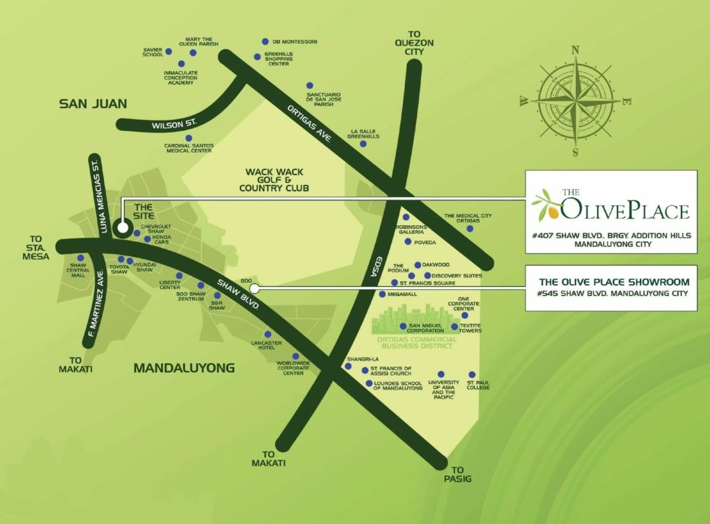 The Olive Place (Pre Selling Mandaluyong Condo for sale by Data Land) Location and Vicinity