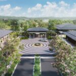 Caleia Vemosa Featured Image