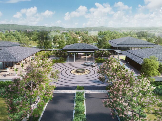 Caleia Vemosa Featured Image